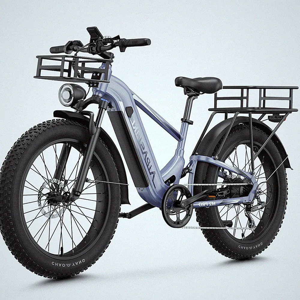 Basket Fat Tire Bike