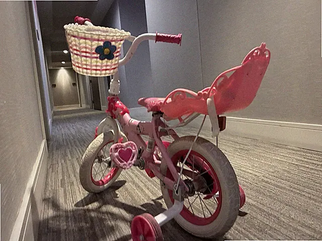 Pink Princess Child's Bicycle w. Basket and Doll Seat attachment Training wheels